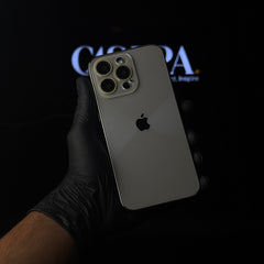 iPhone 15 Pro Max Shine Glass Case Natural Titanium (RPS)